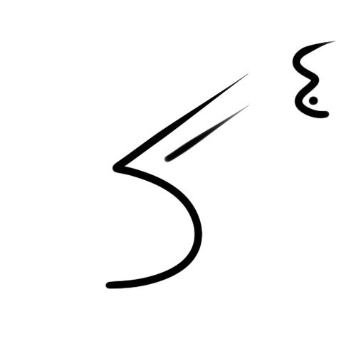 File:Wacag-wattled ploughbill.jpg