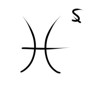 Wacag-thorny catfish.jpg