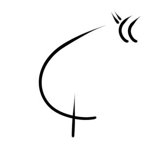 Wacag-second opinion.jpg