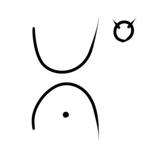 Wacag-gestation period.jpg