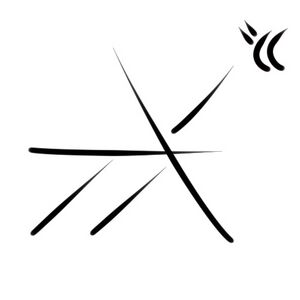 Wacag-bombardier beetle.jpg