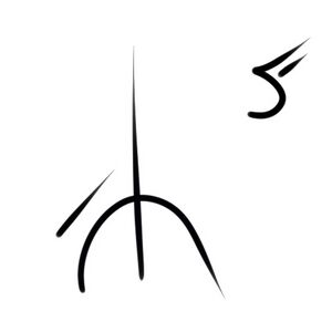 Wacag-down feather.jpg